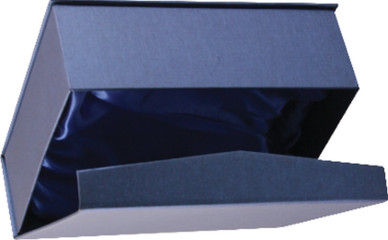 Trofeum szklane z etui
