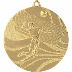 medal złoty- siatkówka