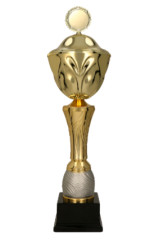 Puchar z przykrywką GRAPPA