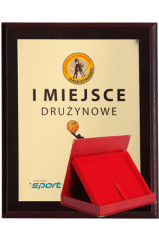 Dyplom z nadrukiem kolorowym z etui