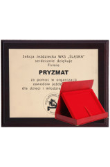 Podkład z tworzywa sztucznego z laminatem grawerowany + etui 305x245 mm
