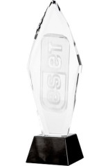 Trofeum szklane grawerowane 3D