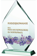 Trofeum szklane z nadrukiem kolorowym LuxorJet, grawerowaniem oraz wypełnieniem farbą i etui