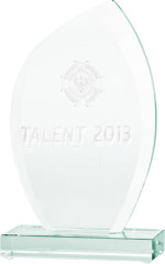 Trofeum szklane grawerowane 3D z etui