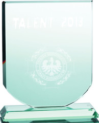 Trofeum szklane grawerowane 3D z etui